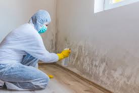 Mold Remediation for Rental Properties in Carson City, NV