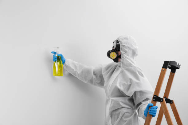 Biohazard Mold Removal in Carson City, NV